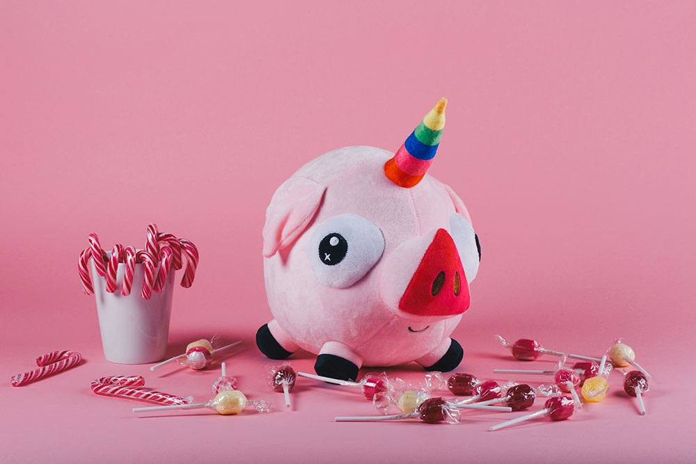 pigicorn-7b pigicorn-7b