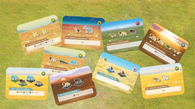 wild-presskit-2
